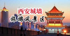 阳茎插入阴道视频中国陕西-西安城墙旅游风景区